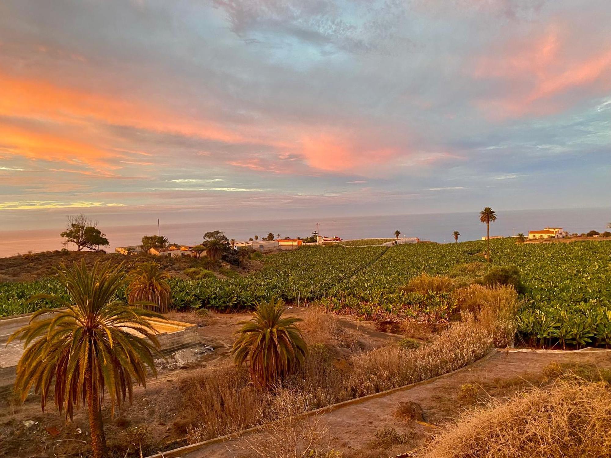 Villa Alpispa Las Palmas de Gran Canaria Kültér fotó
